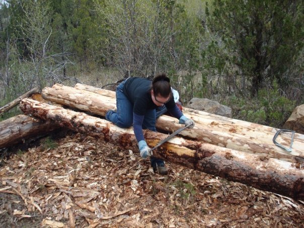 Log Peeling